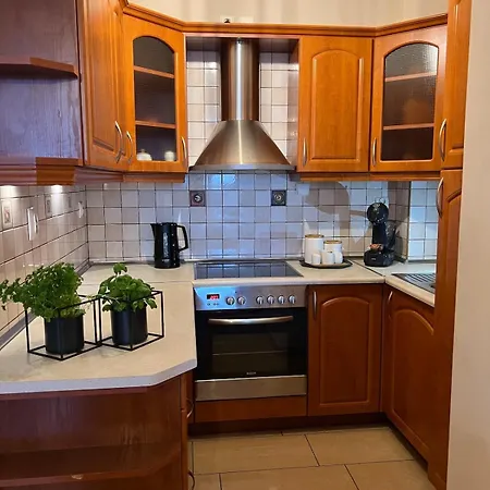 Uroczy Z Widokiem Na Centrum I Darmowym Parkinigiem Appartement